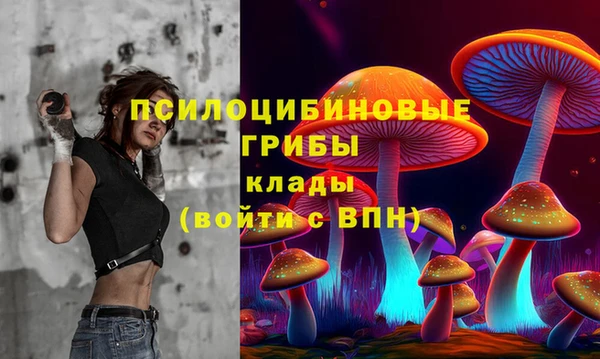 прущая мука Горно-Алтайск