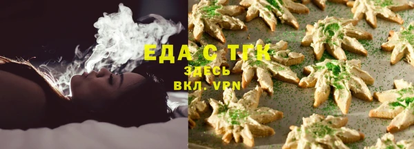 первитин Горняк