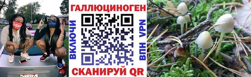 KRAKEN маркетплейс  Калининград  Псилоцибиновые грибы мицелий 